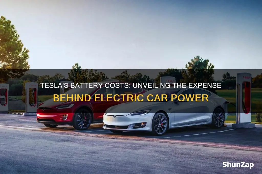 how muc hdoes tesla pay for electric car batteries
