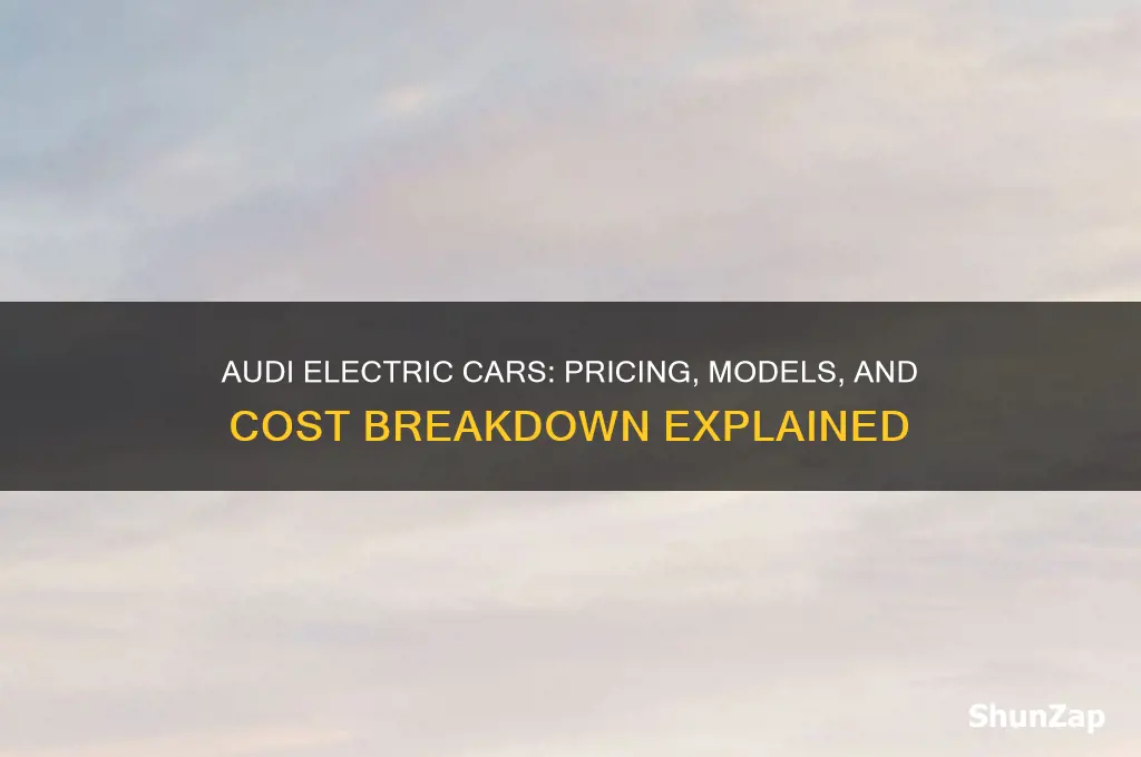 how much are audi electric cars