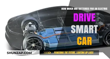 Electric Drive Smart Car Battery Costs: What to Expect