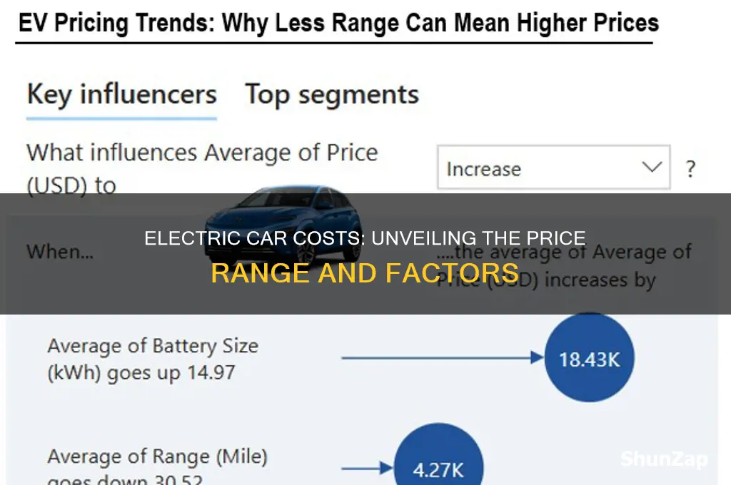 how much are electric cara
