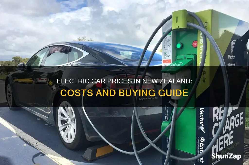 how much are electric cars in new zealand
