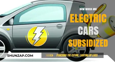 Electric Car Subsidies: Uncovering Government Incentives and Their Impact