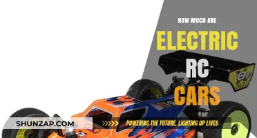 Electric RC Cars: Exploring the Cost of High-Speed Hobby Fun