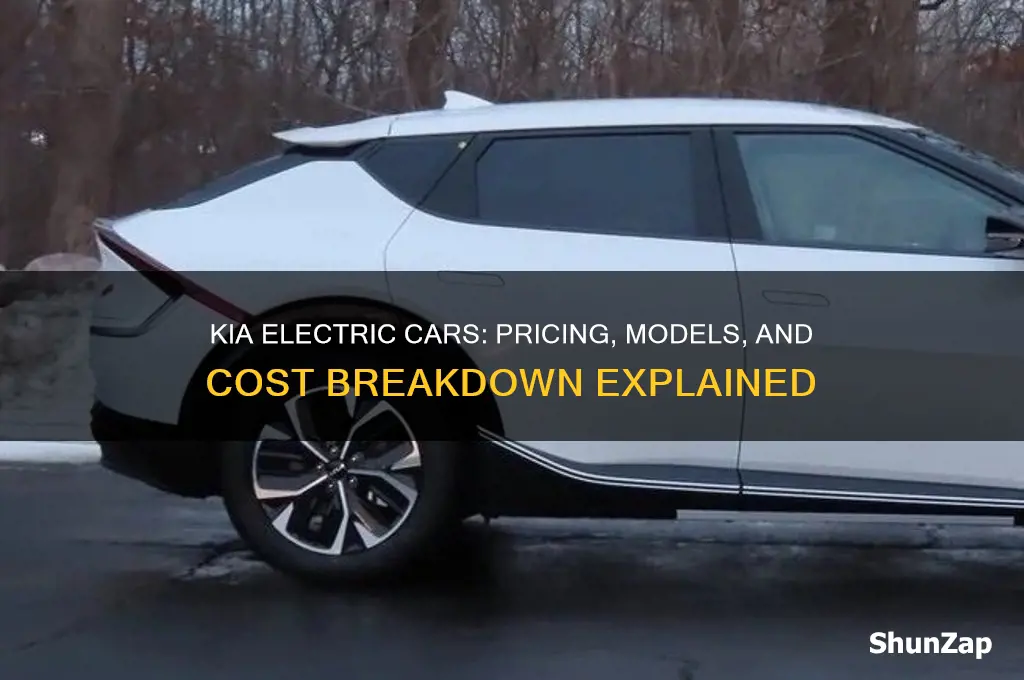 how much are kia electric cars