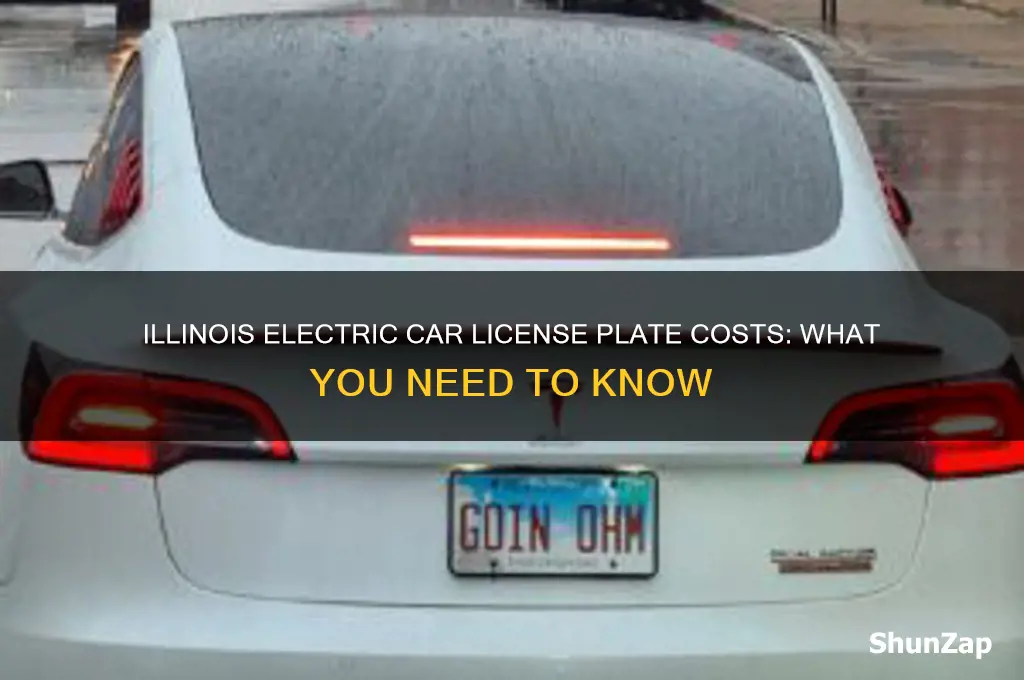 how much are license plates for electric cars in illinois