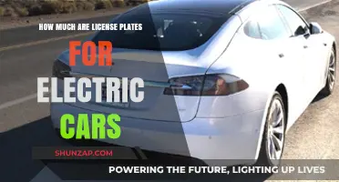 Electric Car License Plate Costs: What You Need to Know