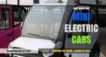 Mini Electric Cars: Uncovering the Cost of Compact Eco-Friendly Rides