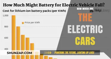 Electric Car Costs: Unveiling the Price Tags of Eco-Friendly Vehicles