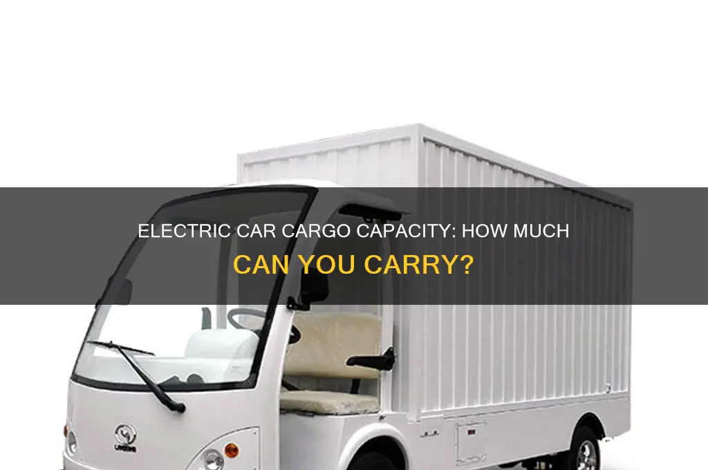 how much can an electric car carry