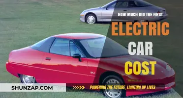 The Surprising Price Tag of the First Electric Car Revealed