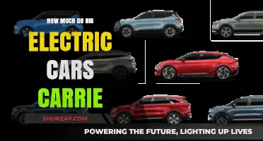 How Much Cargo Space Do Large Electric Vehicles Offer?
