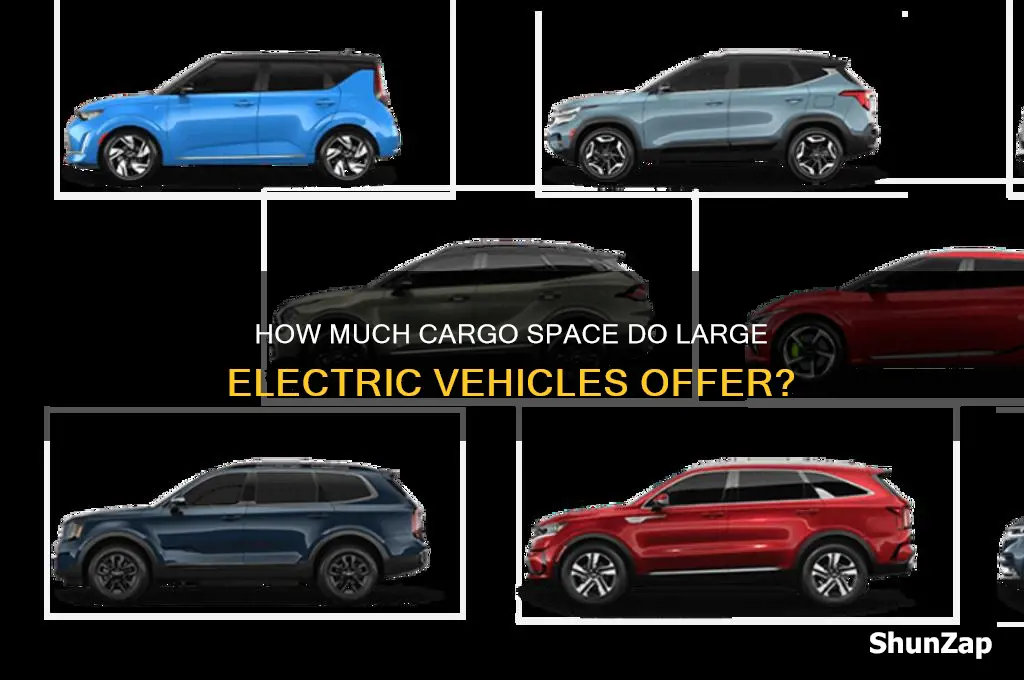 how much do big electric cars carrie
