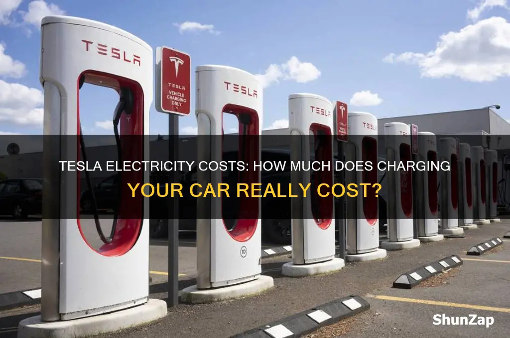 how much do tesla cars cost electricity