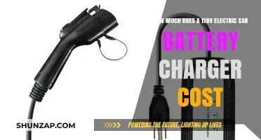 Electric Car Battery Charger Cost: 110V Charging Station Price Guide