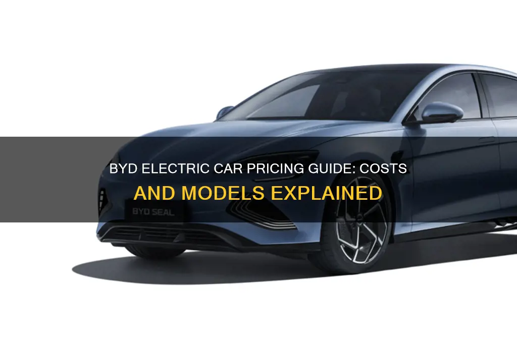 how much does a byd electric car cost