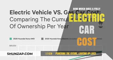 Exploring the Cost of Fully Electric Cars: What to Expect
