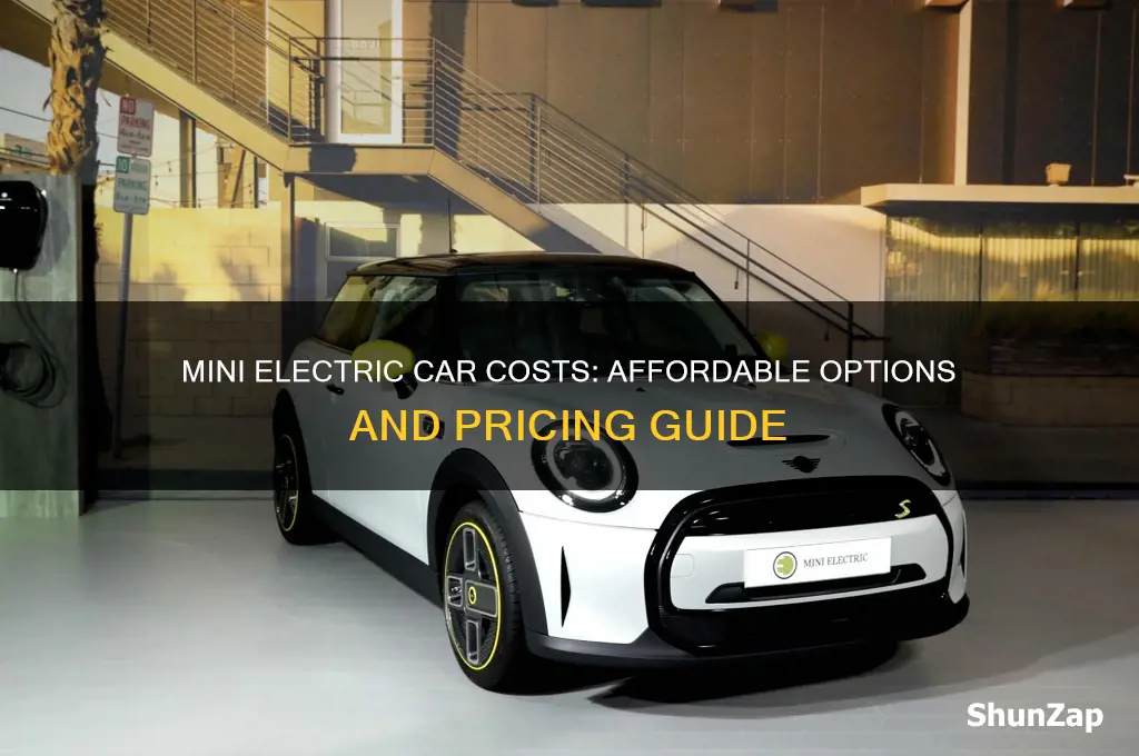 how much does a mini electric car cost