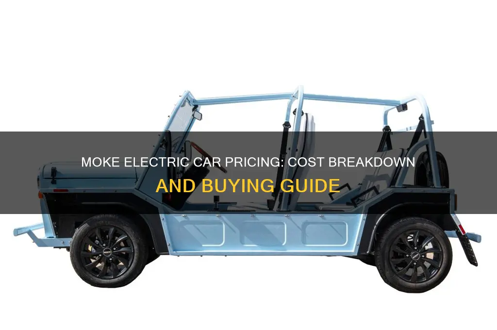 how much does a moke electric car cost