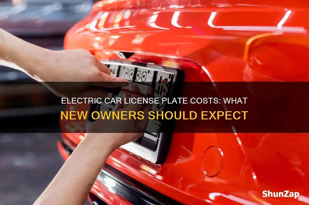how much does a new electric car license plate cost