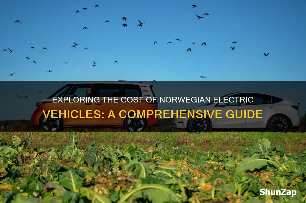 how much does a norwegian electric car cost