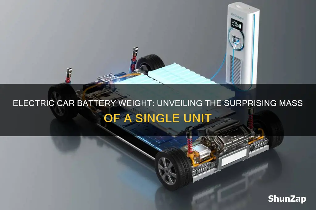 how much does a single electric car battery weigh