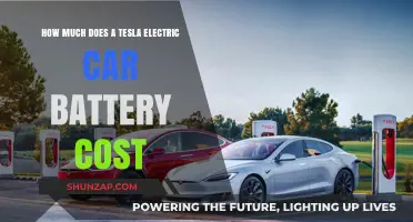 Tesla Electric Car Battery Cost: What to Expect and Why