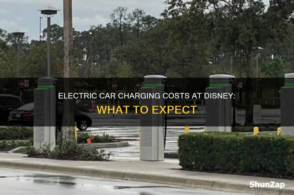 how much does an electric car cost at disney