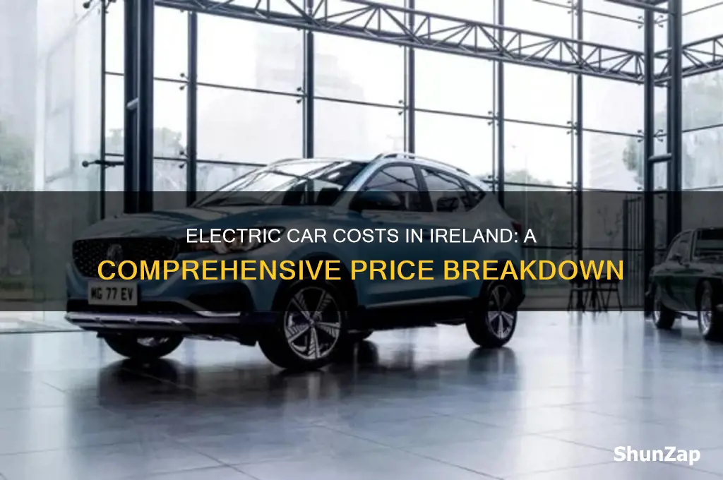 how much does an electric car cost in ireland