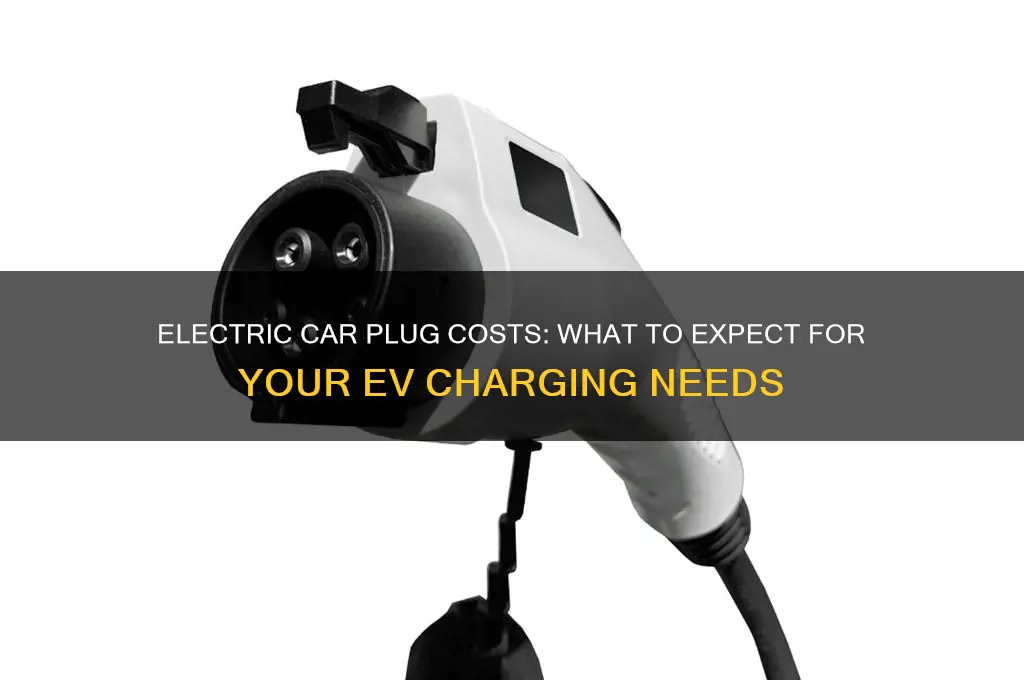 how much does an electric car plug cost