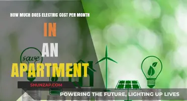 Decoding Apartment Electricity Costs: A Monthly Breakdown