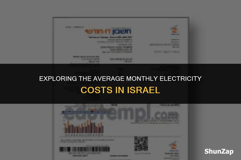 how much does electric cost per month in israel