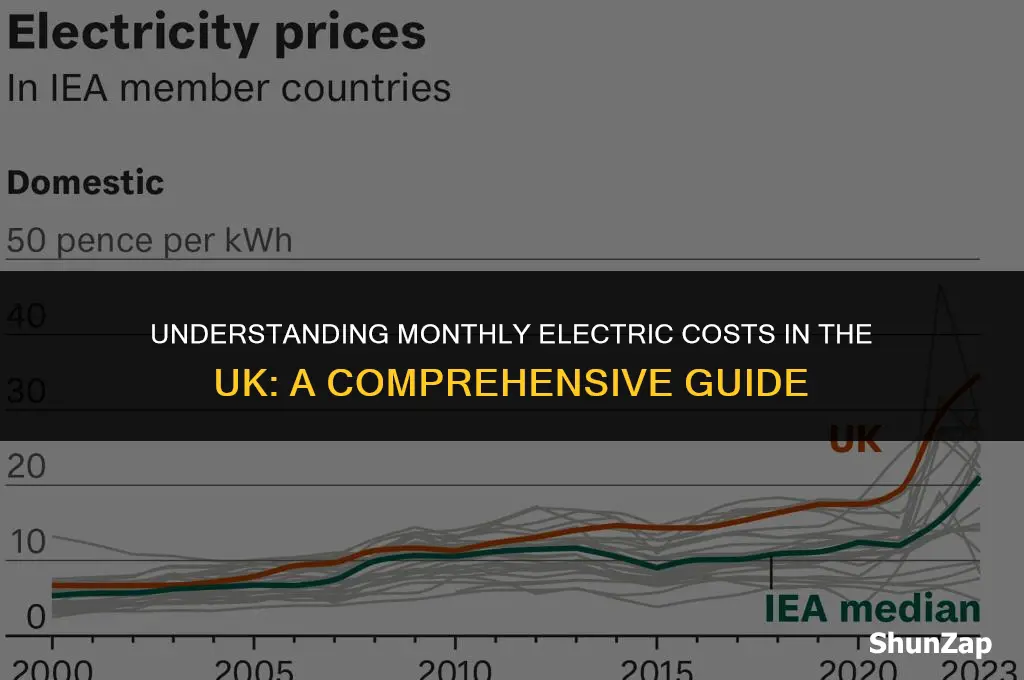 how much does electric cost per month uk