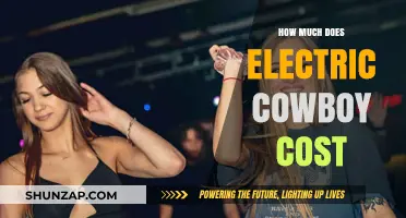 Unveiling the Price Tag: Electric Cowboy's Cost Breakdown
