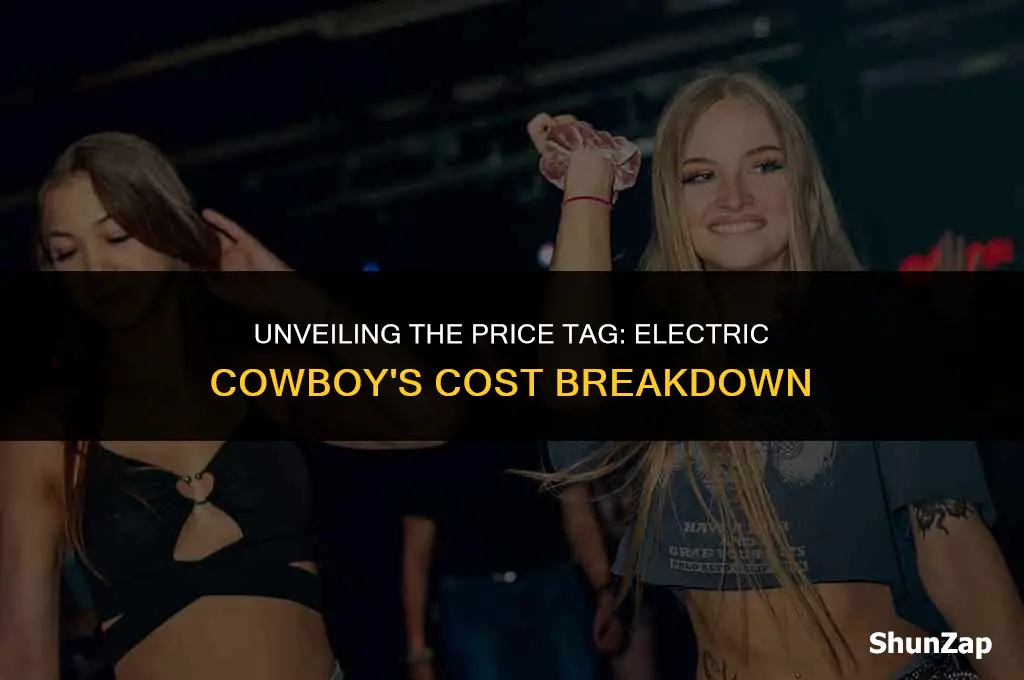 how much does electric cowboy cost