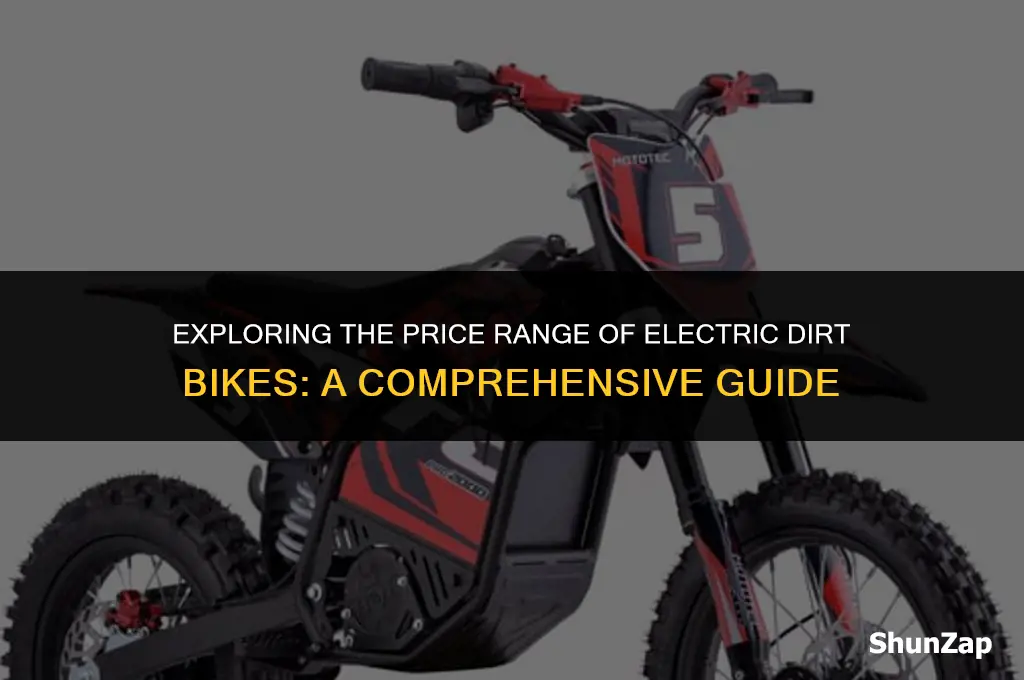 how much does electric dirt bike cost
