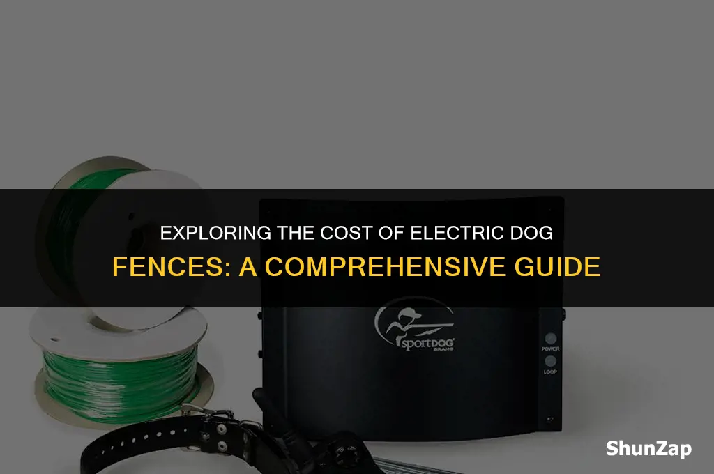 how much does electric dog fence cost