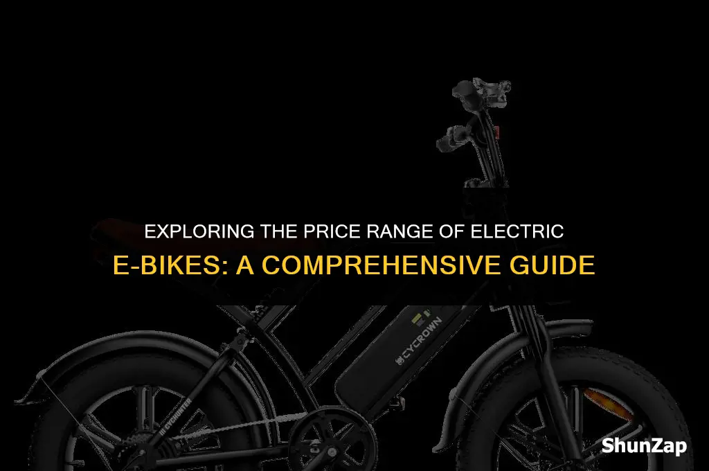 how much does electric e-bike cost