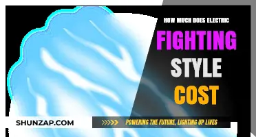 The Shocking Truth: Electric Fighting Style Costs Revealed