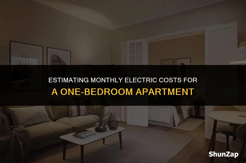 how much does electric for a one bedroom apartment cost