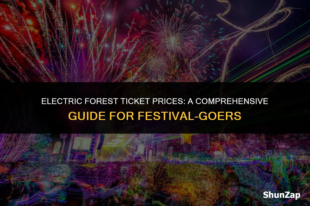 how much does electric forest tickets cost