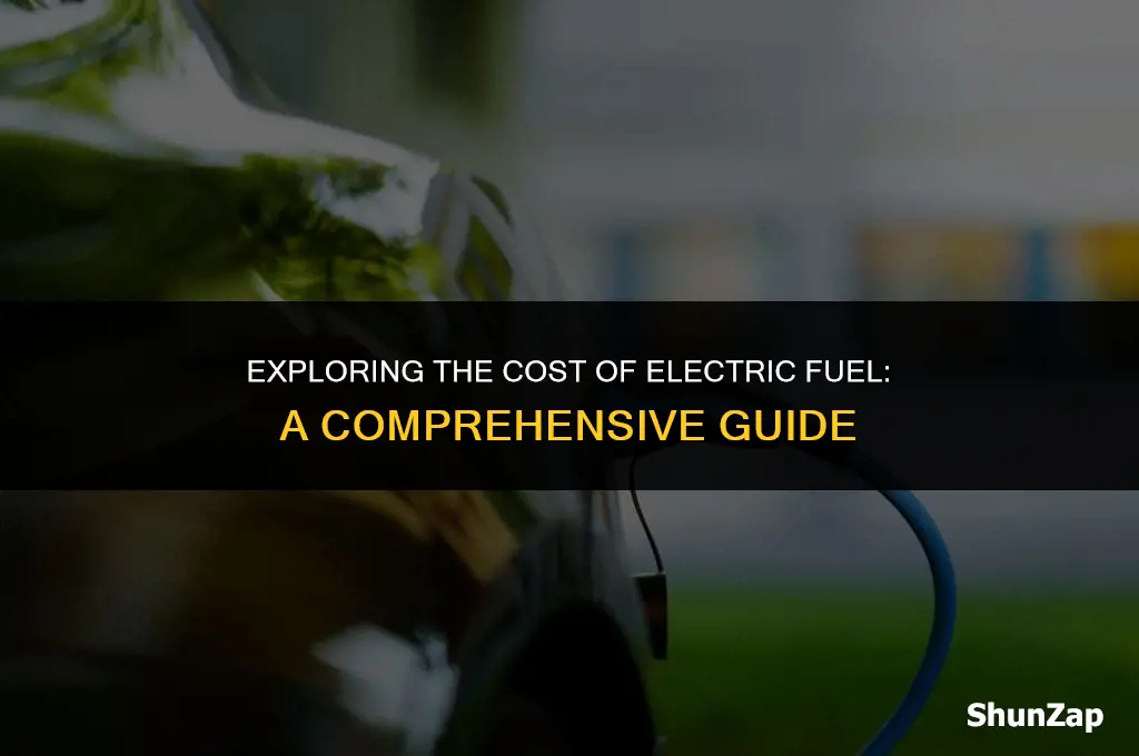 how much does electric fuel cost
