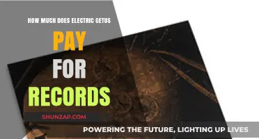 Unveiling the Cost: How Much Does Electric GetUs Pay for Records?