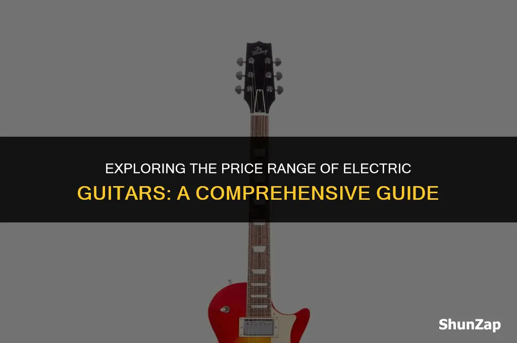 how much does electric guitar cost