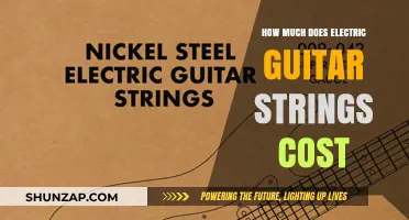 Exploring the Cost Spectrum of Electric Guitar Strings