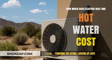 Understanding the Costs of Electric Heat and Hot Water