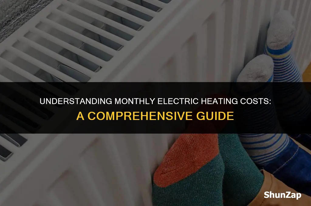 how much does electric heat cost a month