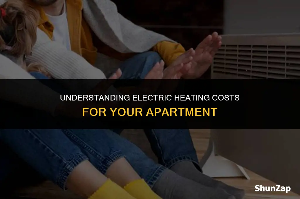 how much does electric heat cost for an apartment