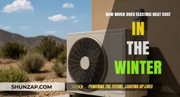 Winter Warmth on a Budget: Understanding Electric Heat Costs