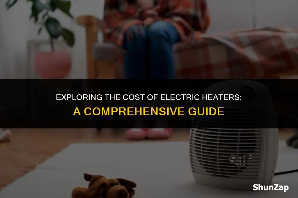 how much does electric heater cost