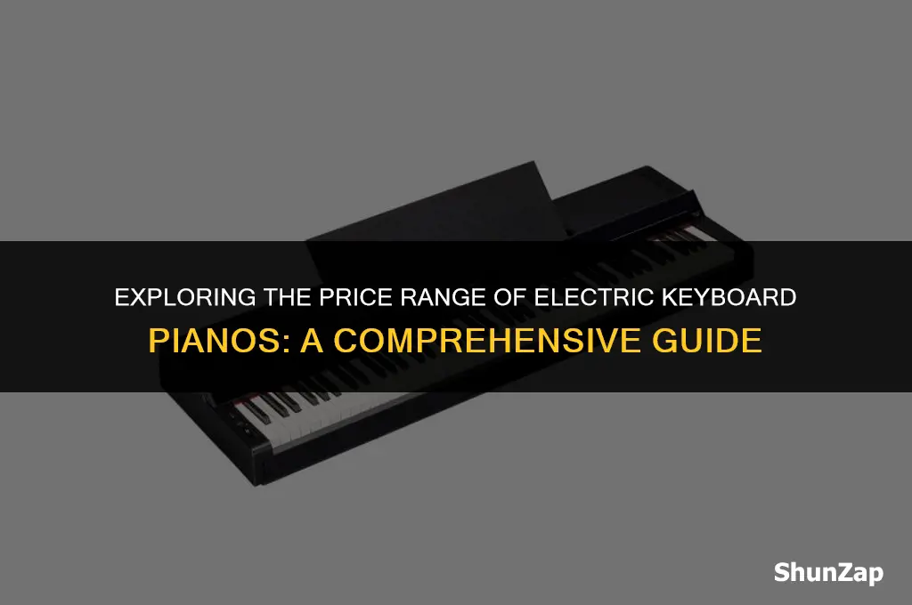 how much does electric keyboard piano cost